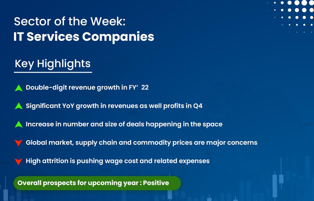 Sector of the Week : IT Services Companies