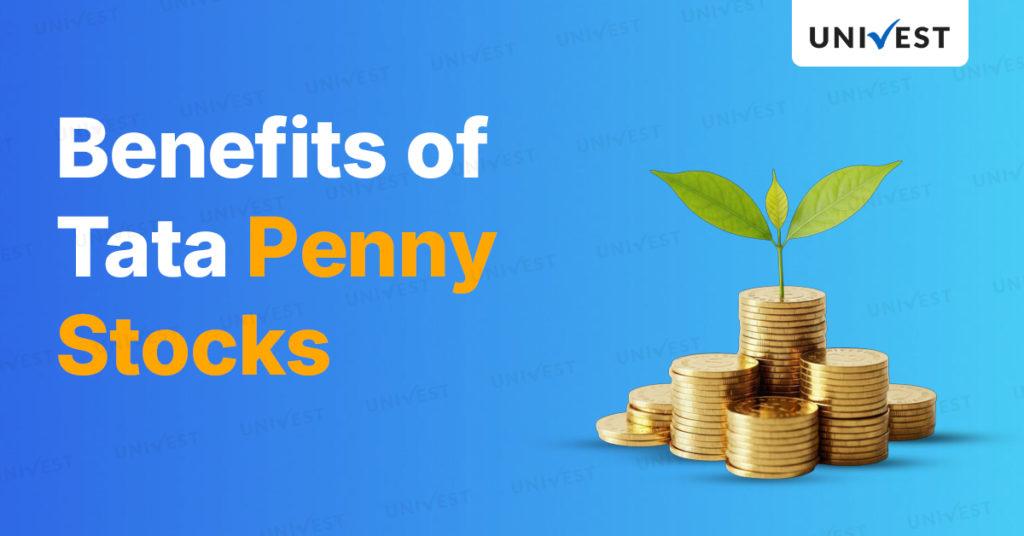 Benefits of Tata Penny Stocks