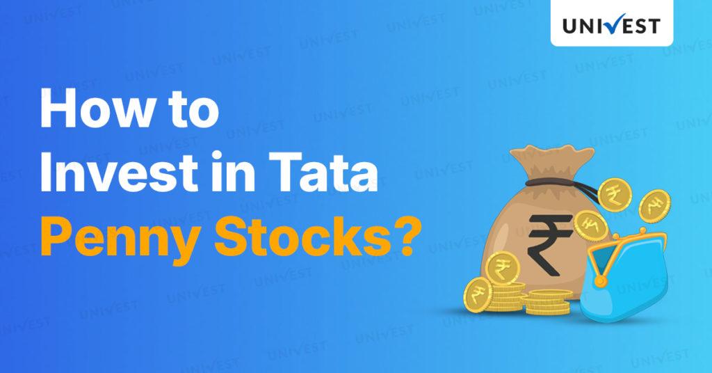 How to Invest in the Tata Penny Stocks in India