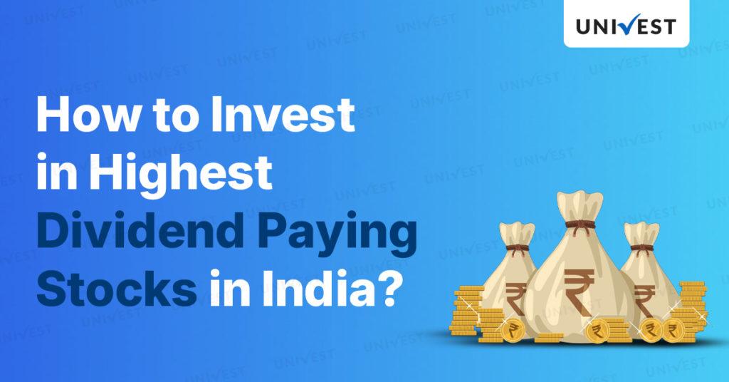 How to Invest in Highest Dividend Paying Stocks in India?