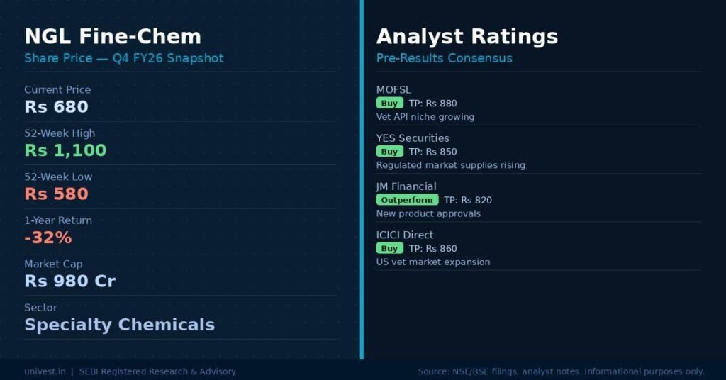 NGL Fine-Chem Share Price and Analyst Ratings