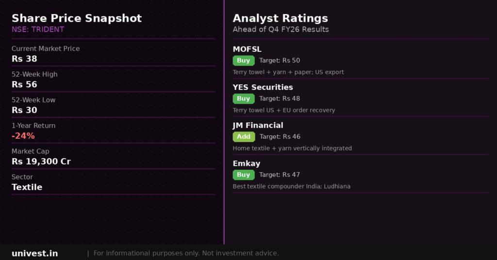 Trident Share Price and Analyst Ratings