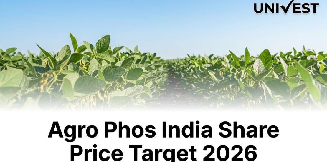 Agro Phos India Share Price Target 2026