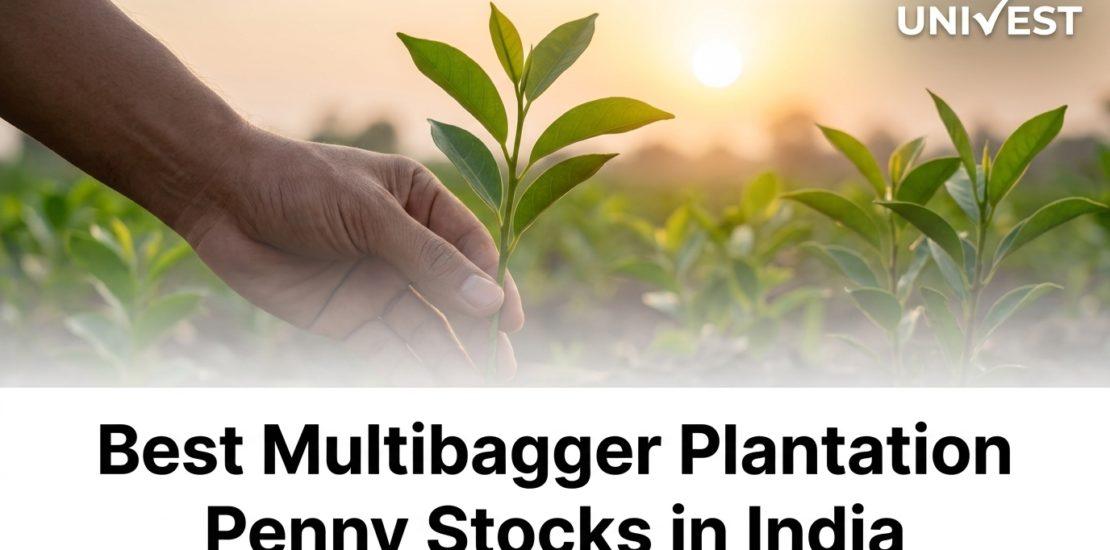 Best Multibagger Plantation Penny Stocks in India