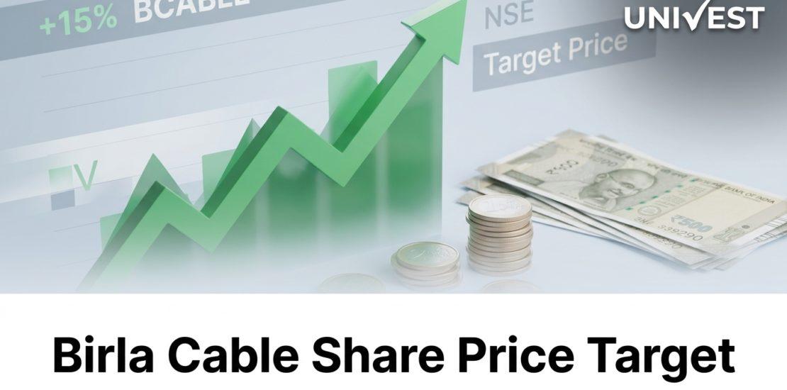 Birla Cable Share Price Target