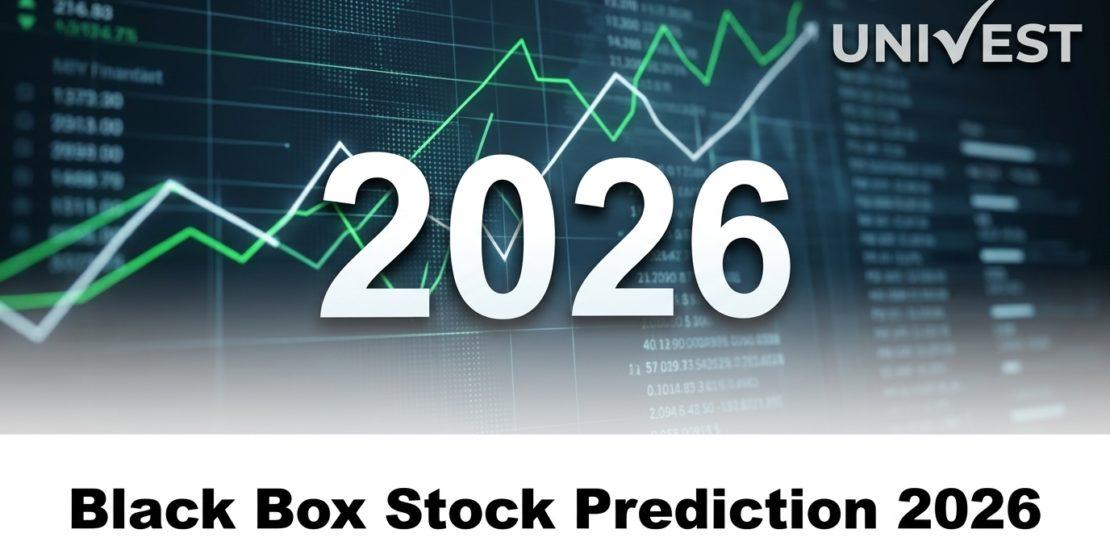 Black Box Stock Prediction 2026