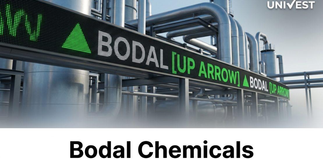 Bodal Chemicals Share Price Target