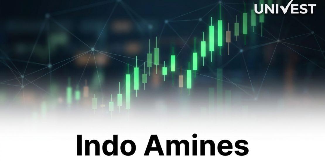 Indo Amines Share Analyst Review