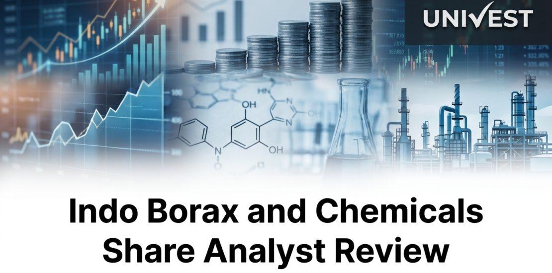 Indo Borax and Chemicals Share Analyst Review