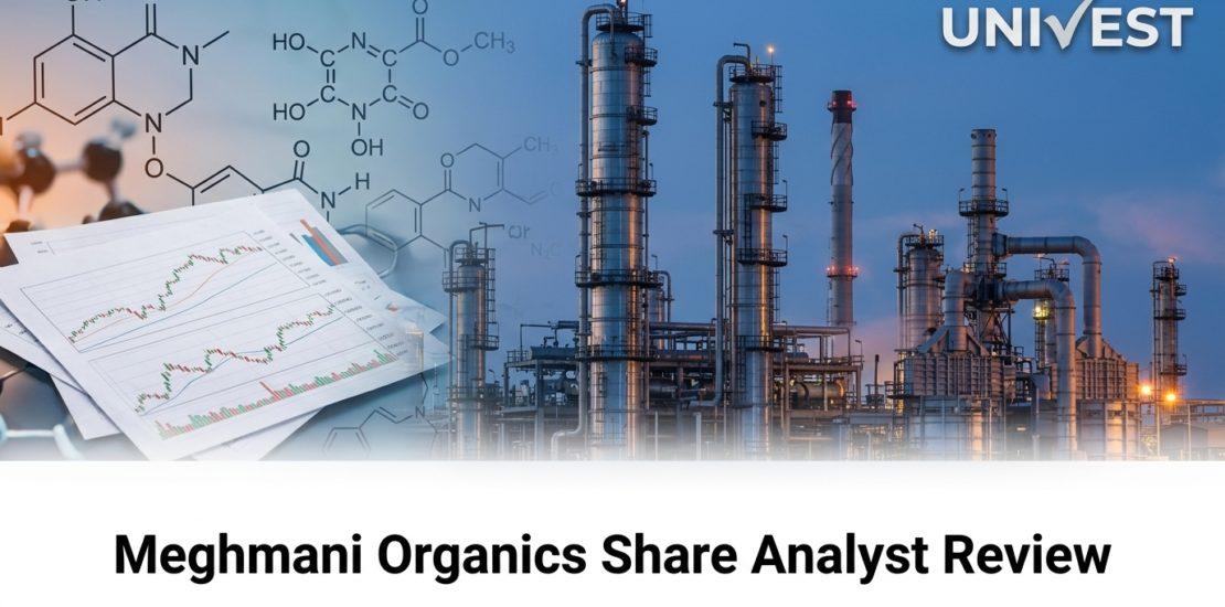 Meghmani Organics Share Analyst Review