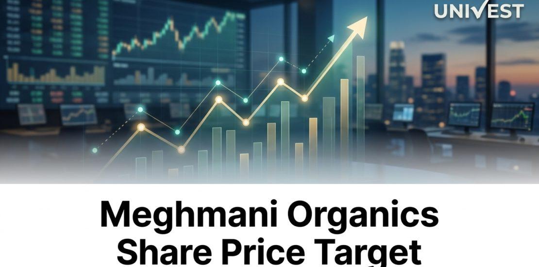Meghmani Organics Share Price Target 2026
