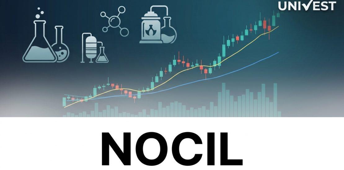 NOCIL Share Analyst Review