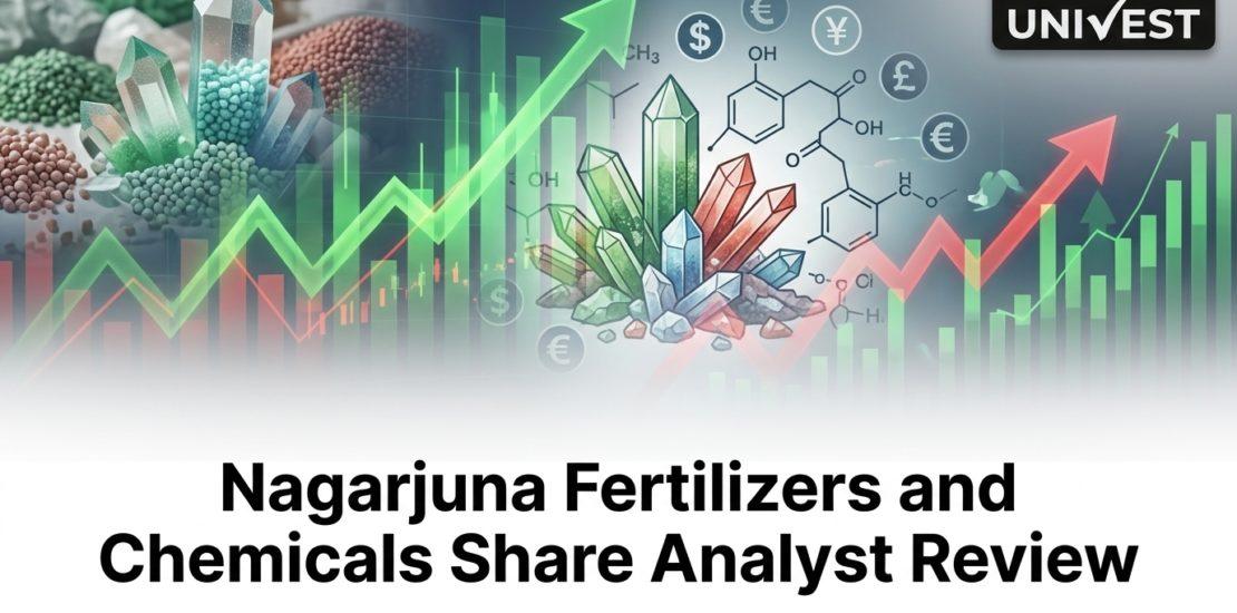 Nagarjuna Fertilizers and Chemicals Share Analyst Review