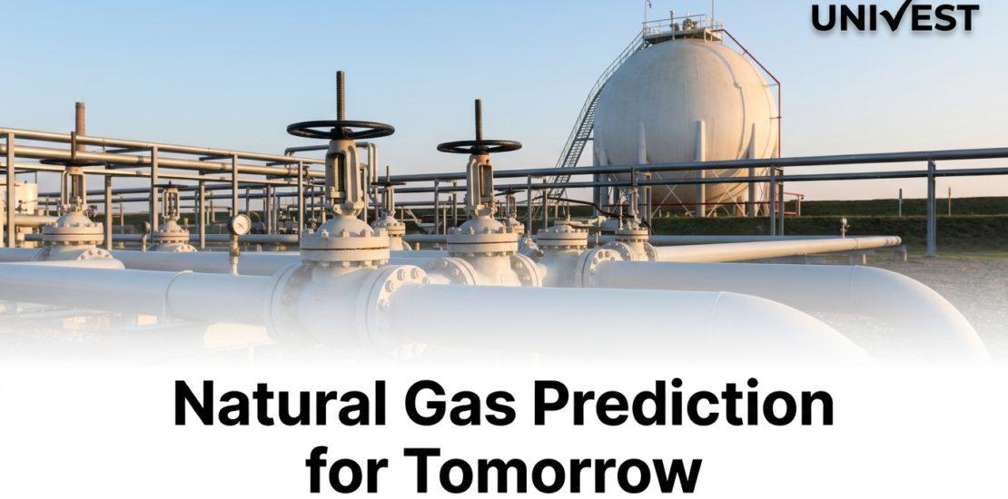 Natural Gas Prediction for Tomorrow