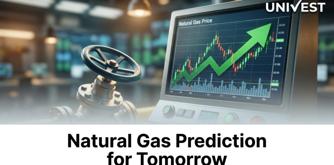 Natural Gas Prediction for Tomorrow