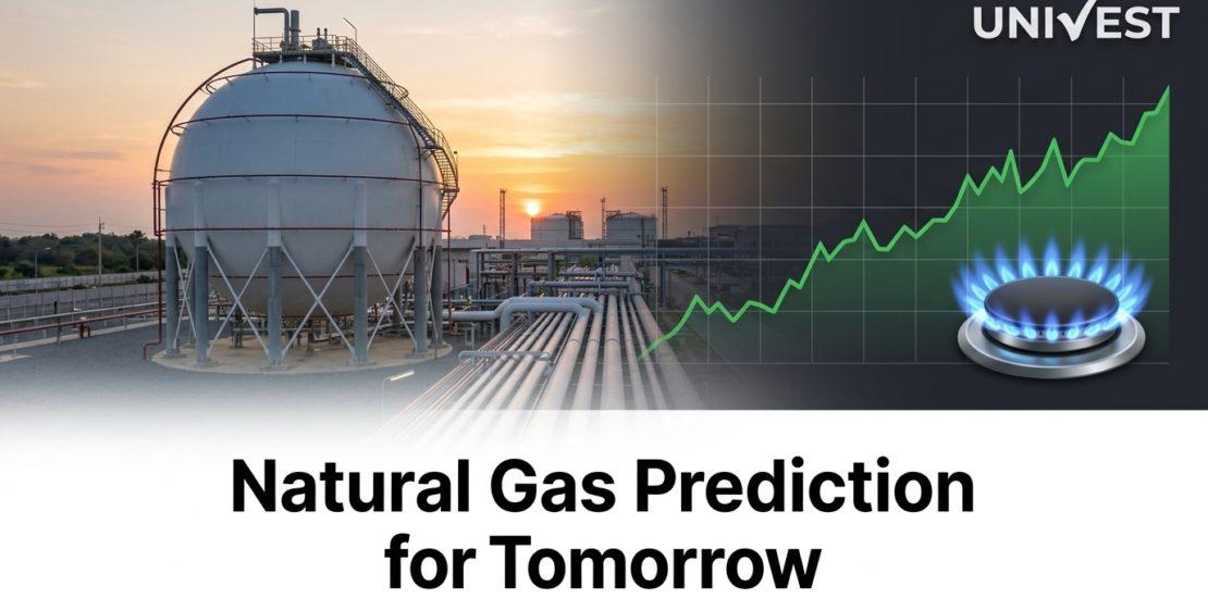 Natural Gas Prediction for Tomorrow