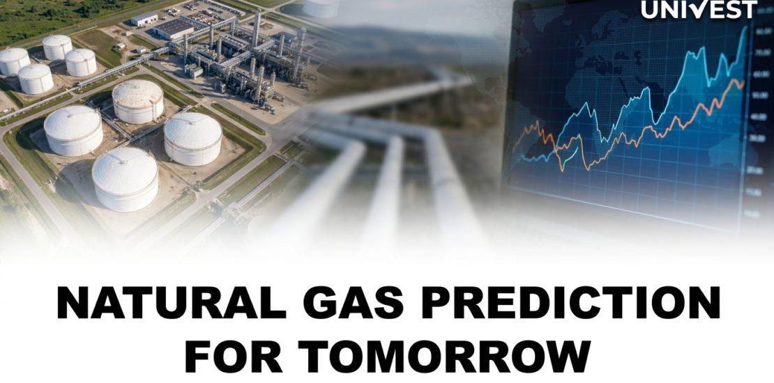 Natural Gas Prediction for Tomorrow