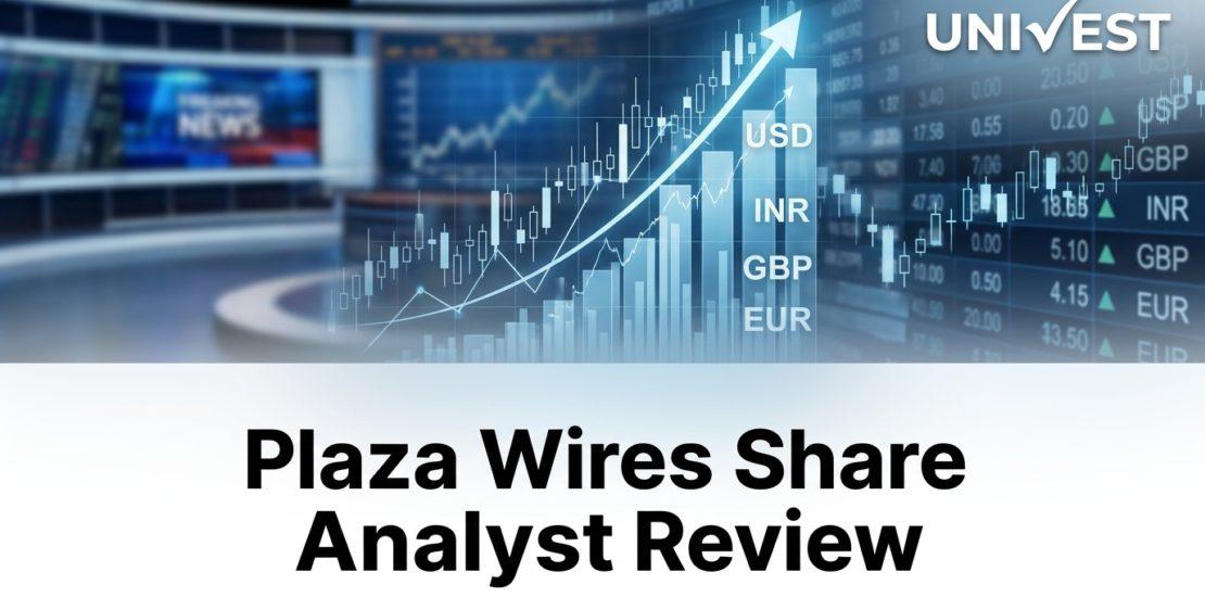 Plaza Wires Share Analyst Review