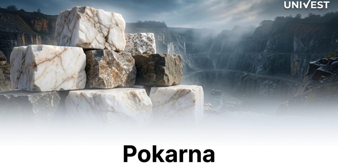 Pokarna Share Analyst Review