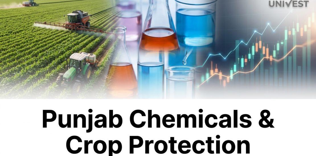 Punjab Chemicals & Crop Protection Share Analyst Review