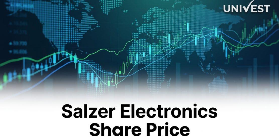 Salzer Electronics Share Price Target 2026