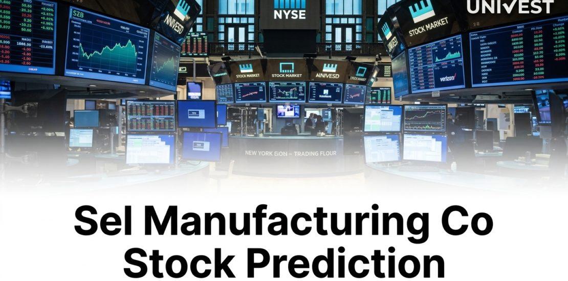 Sel Manufacturing Co Stock Prediction