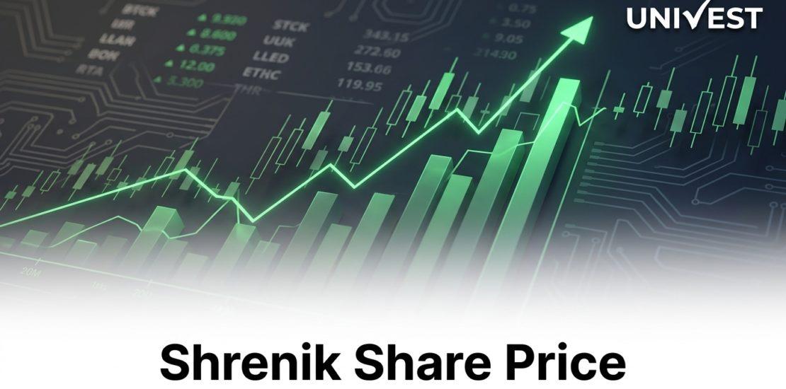 Shrenik Share Price Target 2026