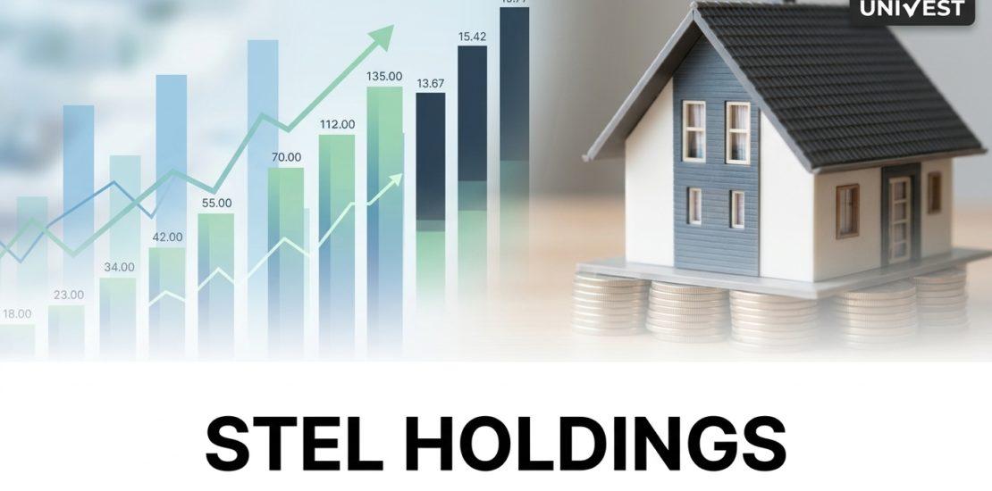 Stel Holdings Share Analyst Review