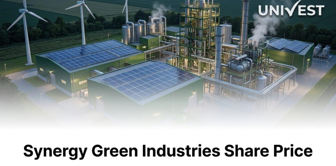 Synergy Green Industries Share Price Target 2026