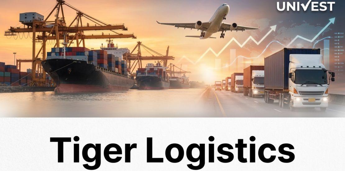 Tiger Logistics (India) Share
