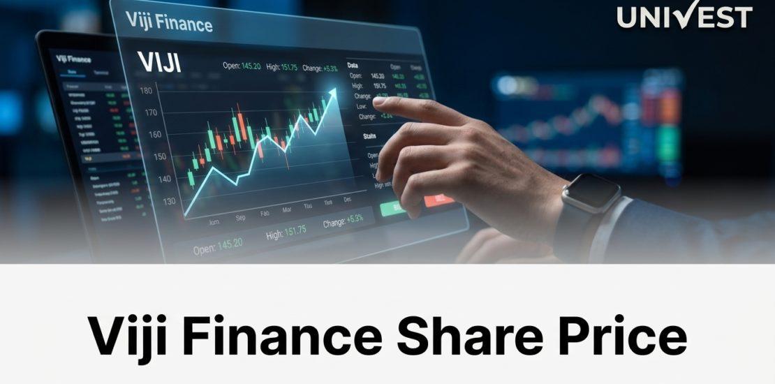 Viji Finance Share Price Target 2026