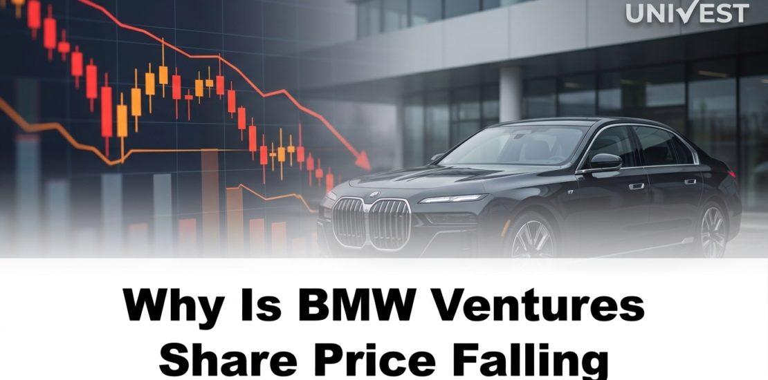 Why Is BMW Ventures Share Price Falling