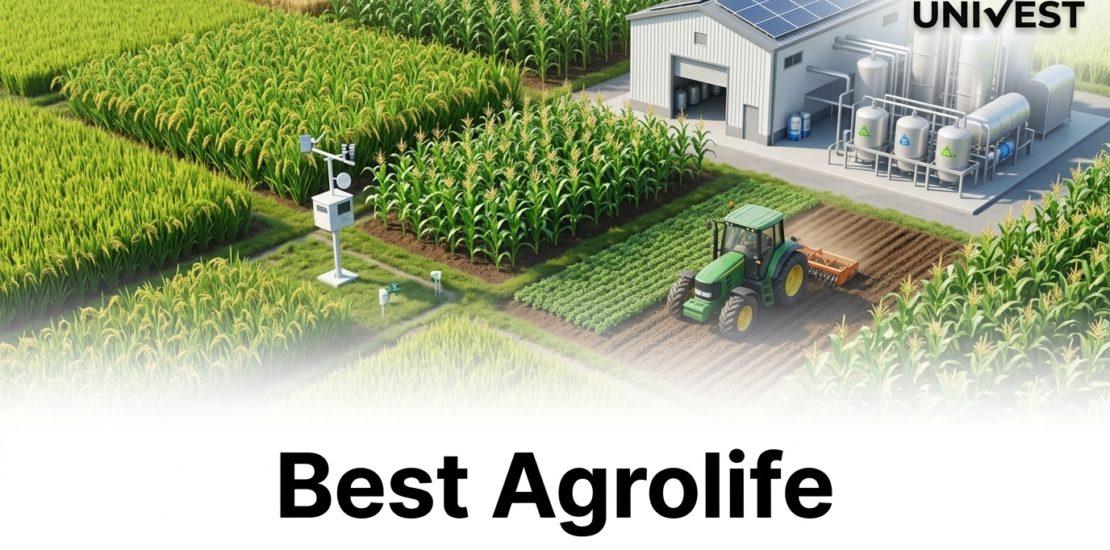Why Is Best Agrolife Share Price Falling
