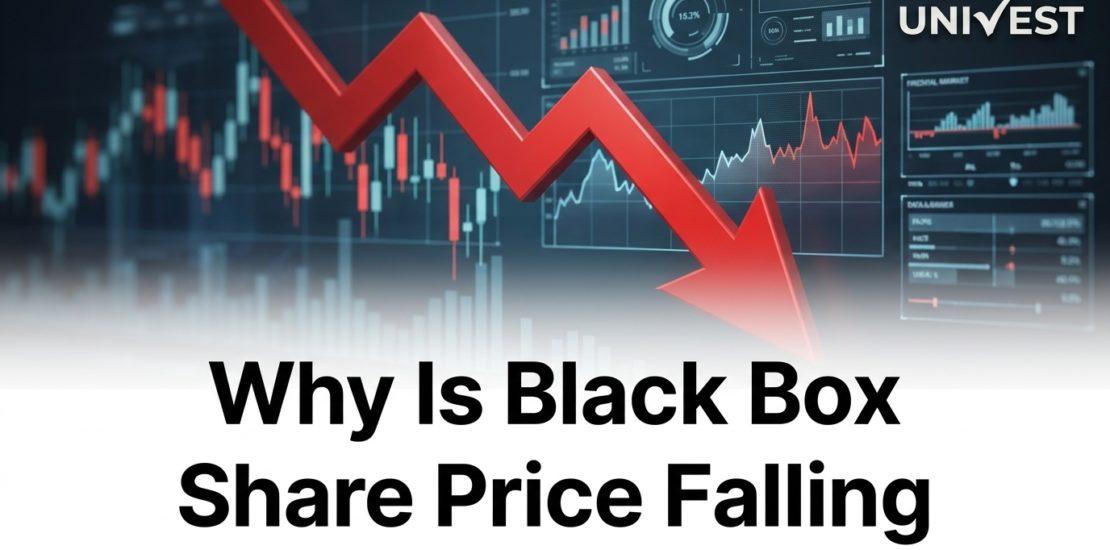 Why Is Black Box Share Price Falling
