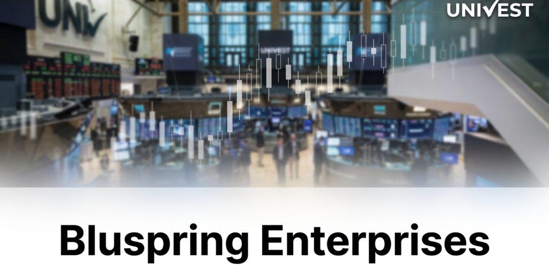 Why Is Bluspring Enterprises Share Price Falling
