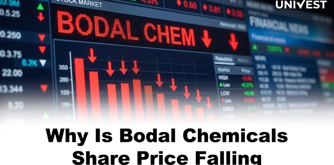 Why Is Bodal Chemicals Share Price Falling