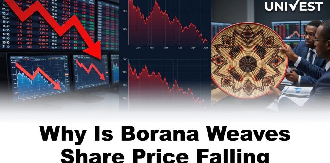 Why Is Borana Weaves Share Price Falling