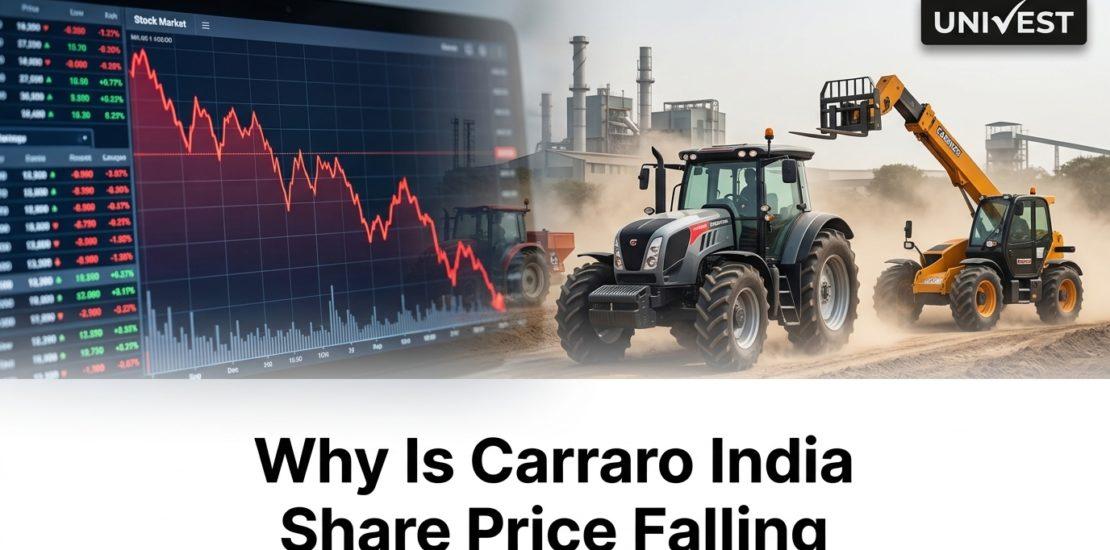Why Is Carraro India Share Price Falling