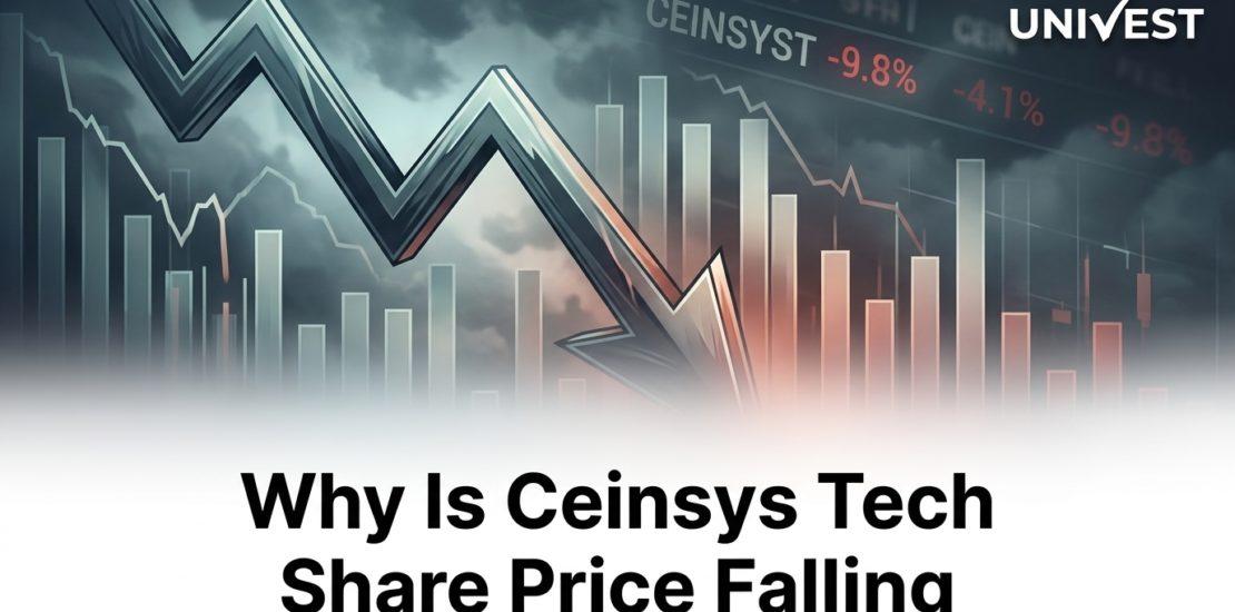 Why Is Ceinsys Tech Share Price Falling