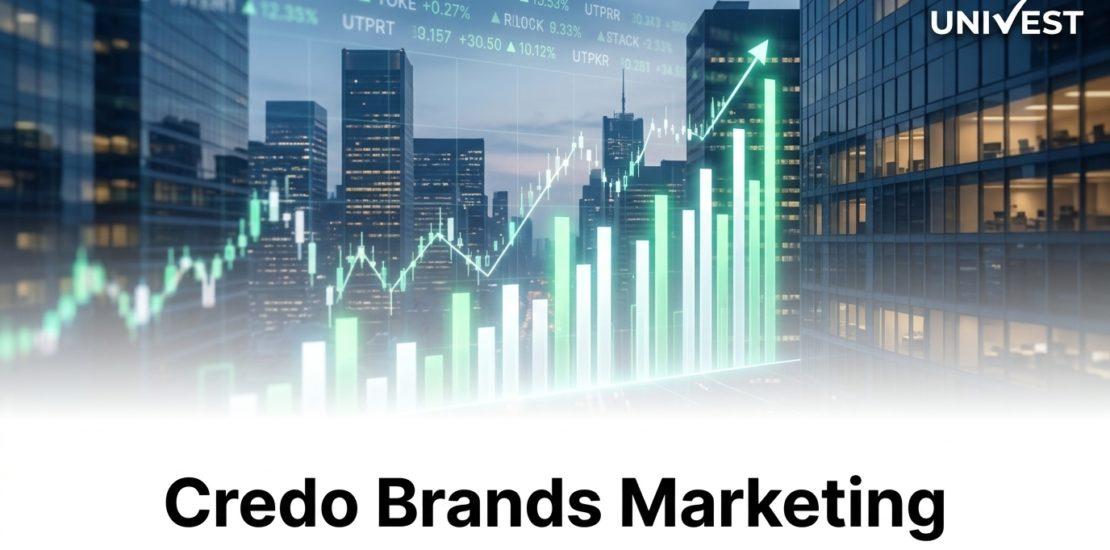 Why Is Credo Brands Marketing Share Price Falling