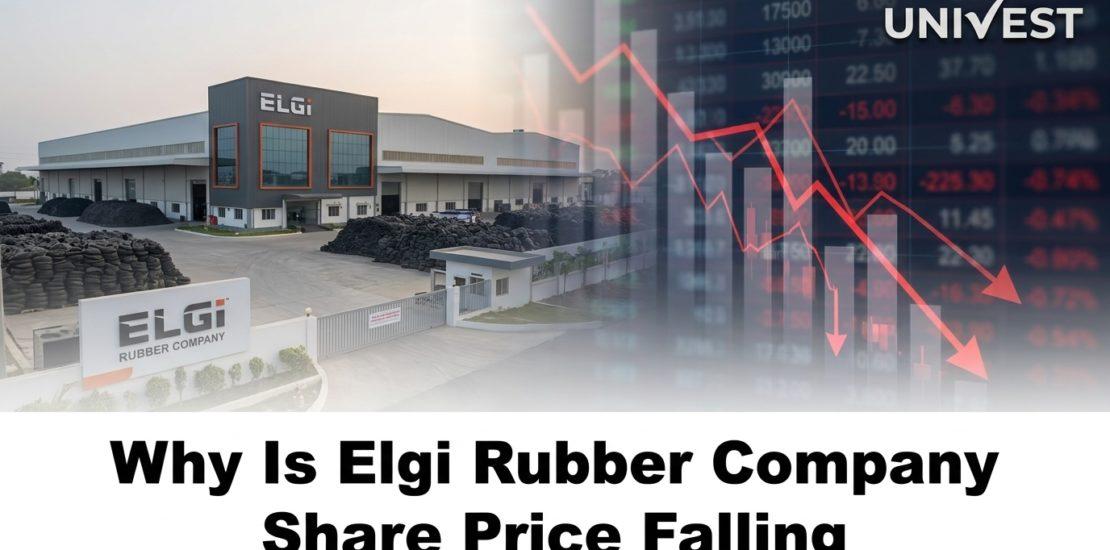Why Is Elgi Rubber Company Share Price Falling