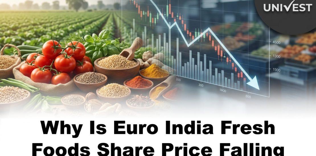 Why Is Euro India Fresh Foods Share Price Falling