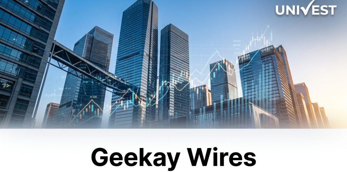 Why Is Geekay Wires Share Price falling