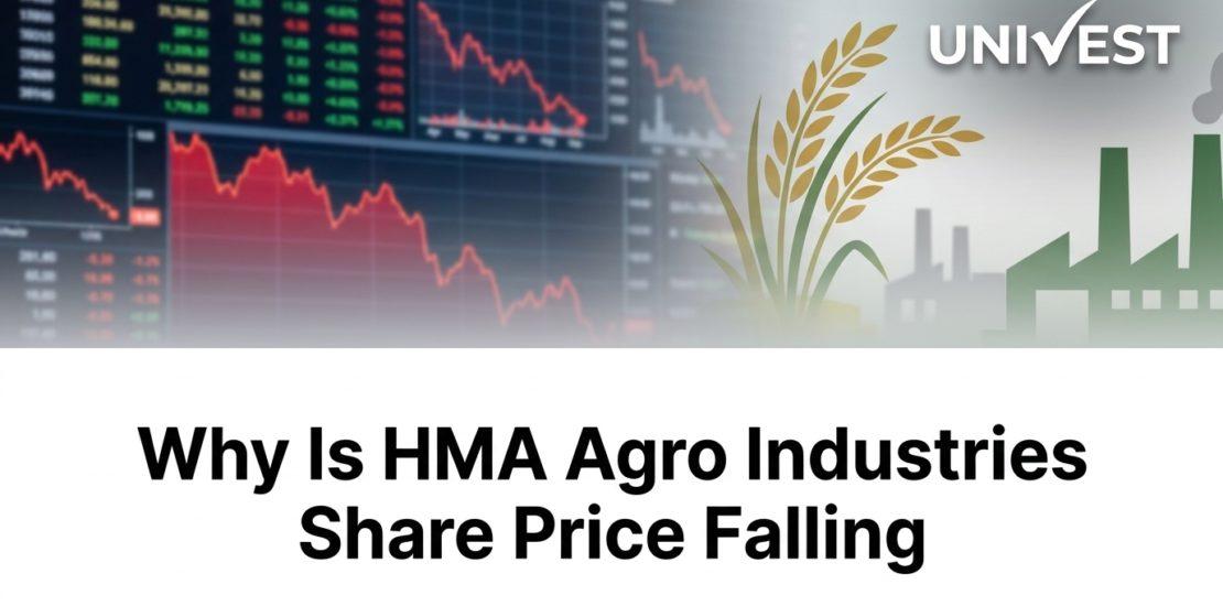 Why Is HMA Agro Industries Share Price Falling