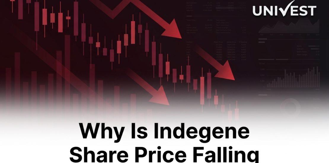 Why Is Indegene Share Price Falling