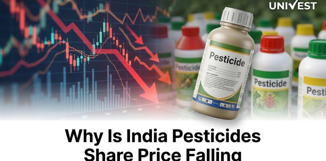 Why Is India Pesticides Share Price Falling