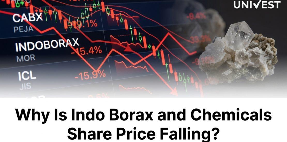 Why Is Indo Borax and Chemicals Share Price Falling