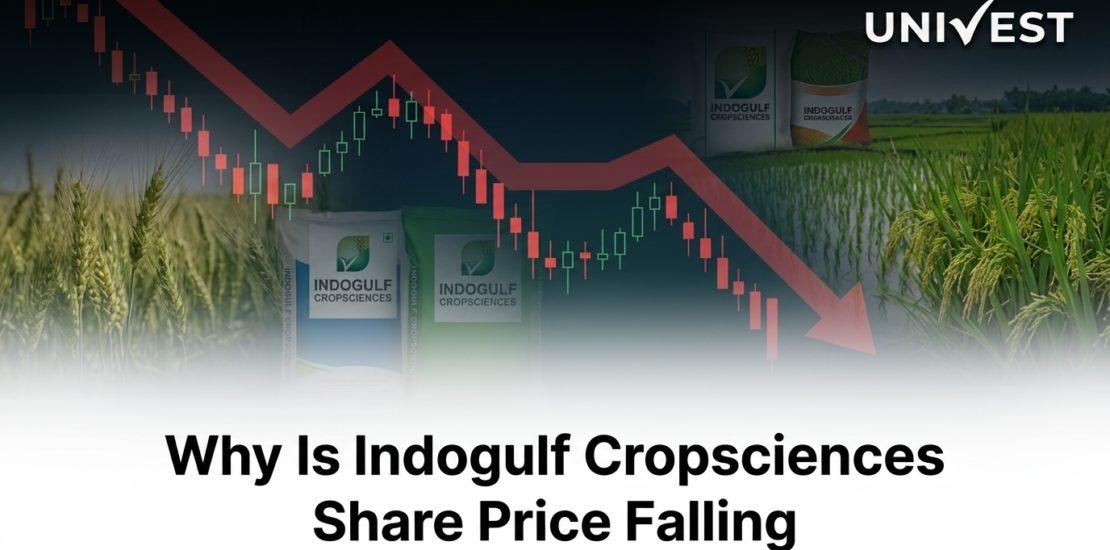 Why Is Indogulf Cropsciences Share Price Falling