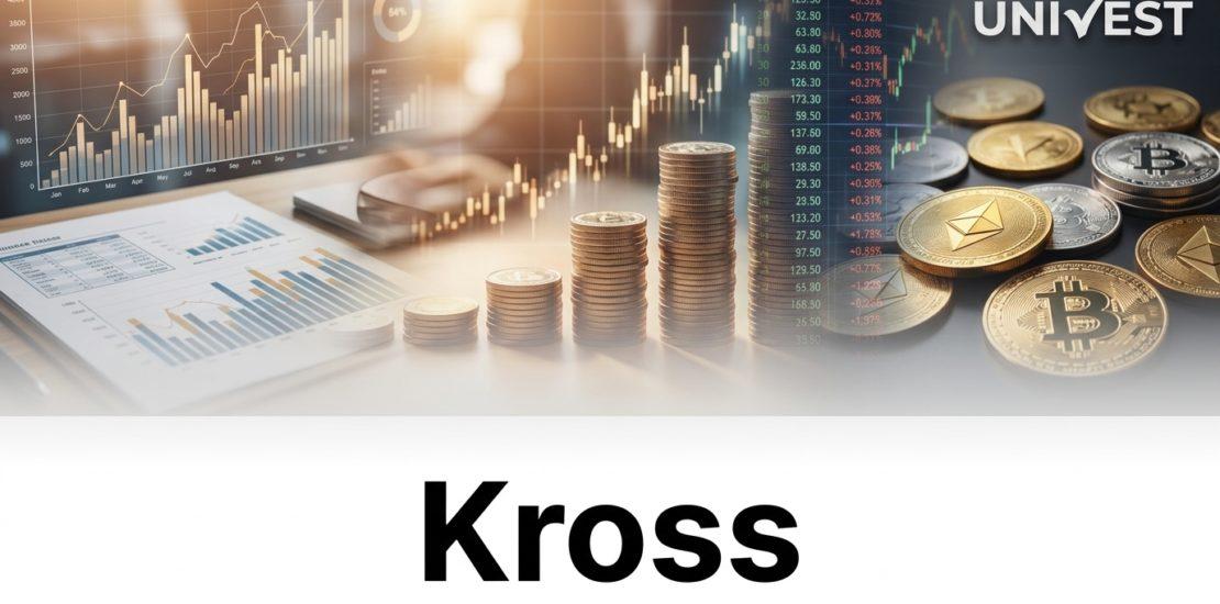 Why Is Kross Share Price Falling