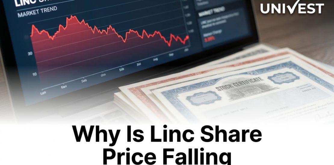 Why Is Linc Share Price Falling